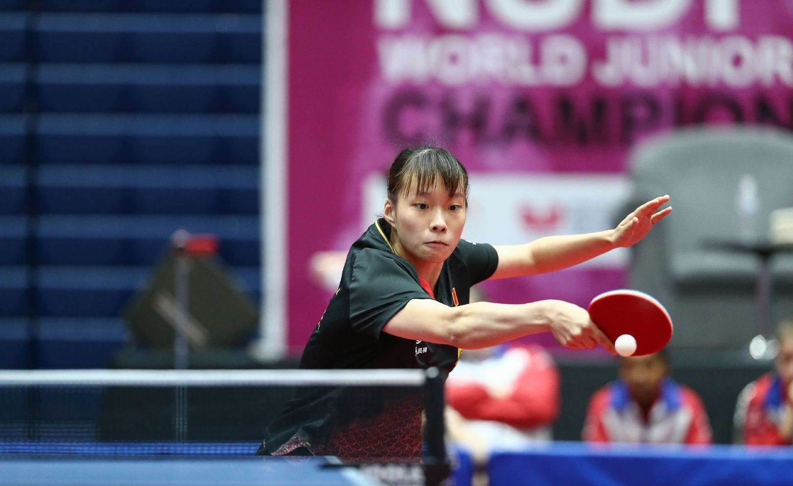 将越来越渺 将越来越渺